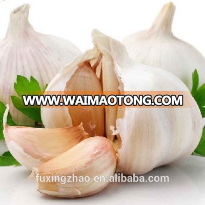 Fresh New Garlic Natural Garlic Chinese Garlic Wholesale