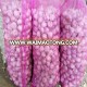 Wholesale fresh garlic supply all over the world