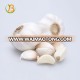 wholesale garlic price for the international market